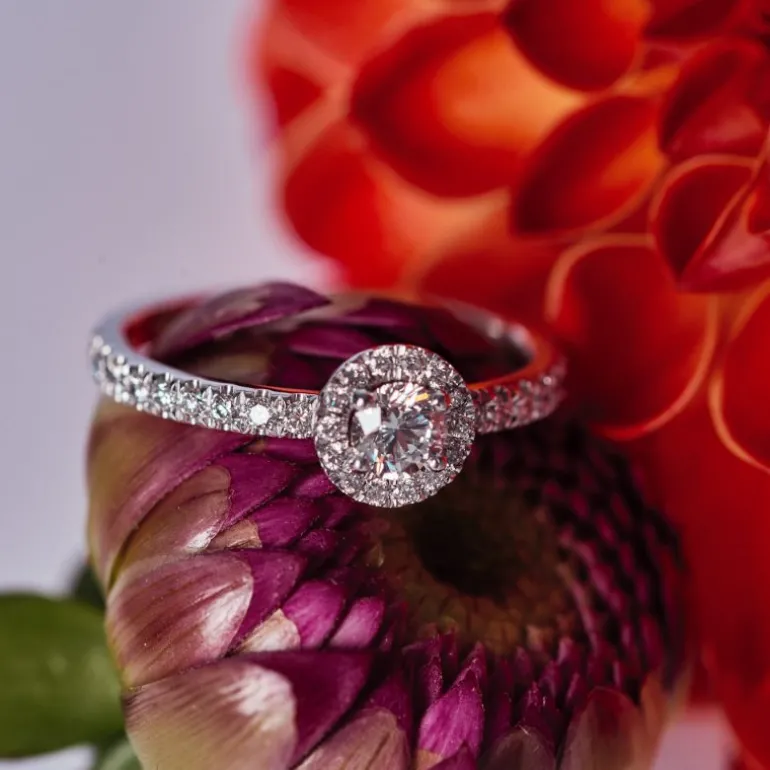 Solitaire Absolu.e Couronne 0.5ct pavé