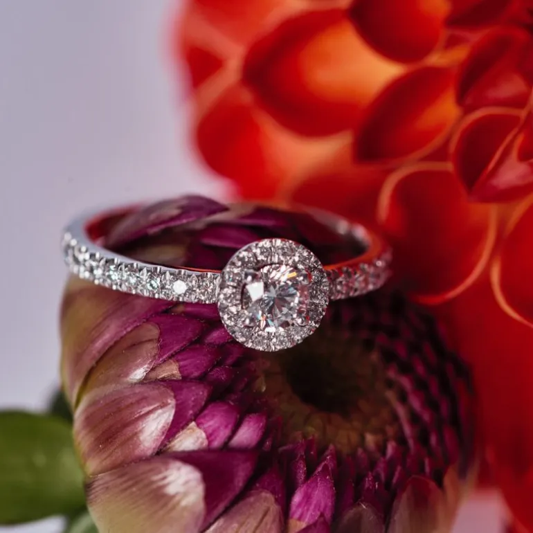 Solitaire Absolu.e Couronne 0.5ct pavé