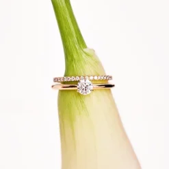 Solitaire Absolu.e 1ct