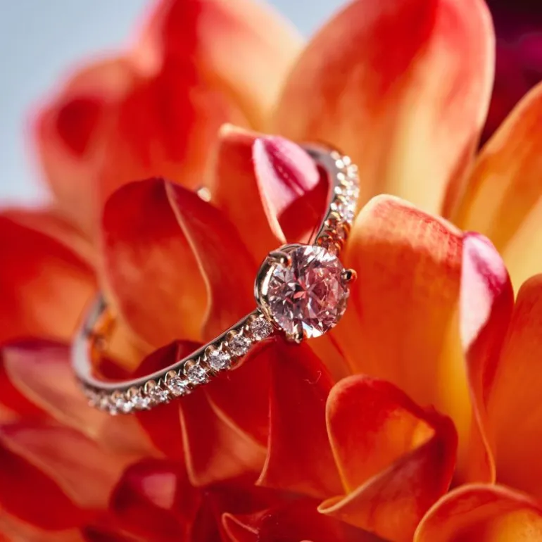 Solitaire Absolu.e 0.25ct pavé