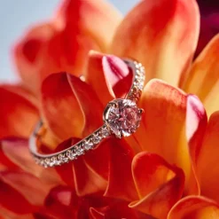 Solitaire Absolu.e 0.5ct pav&eacute;