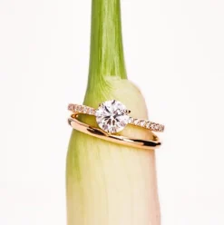 Solitaire Absolu.e 1ct pav&eacute;